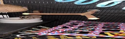 Sugar Glider rodents for sale: 2 female sugar glders in South Ockendon - Advert 19