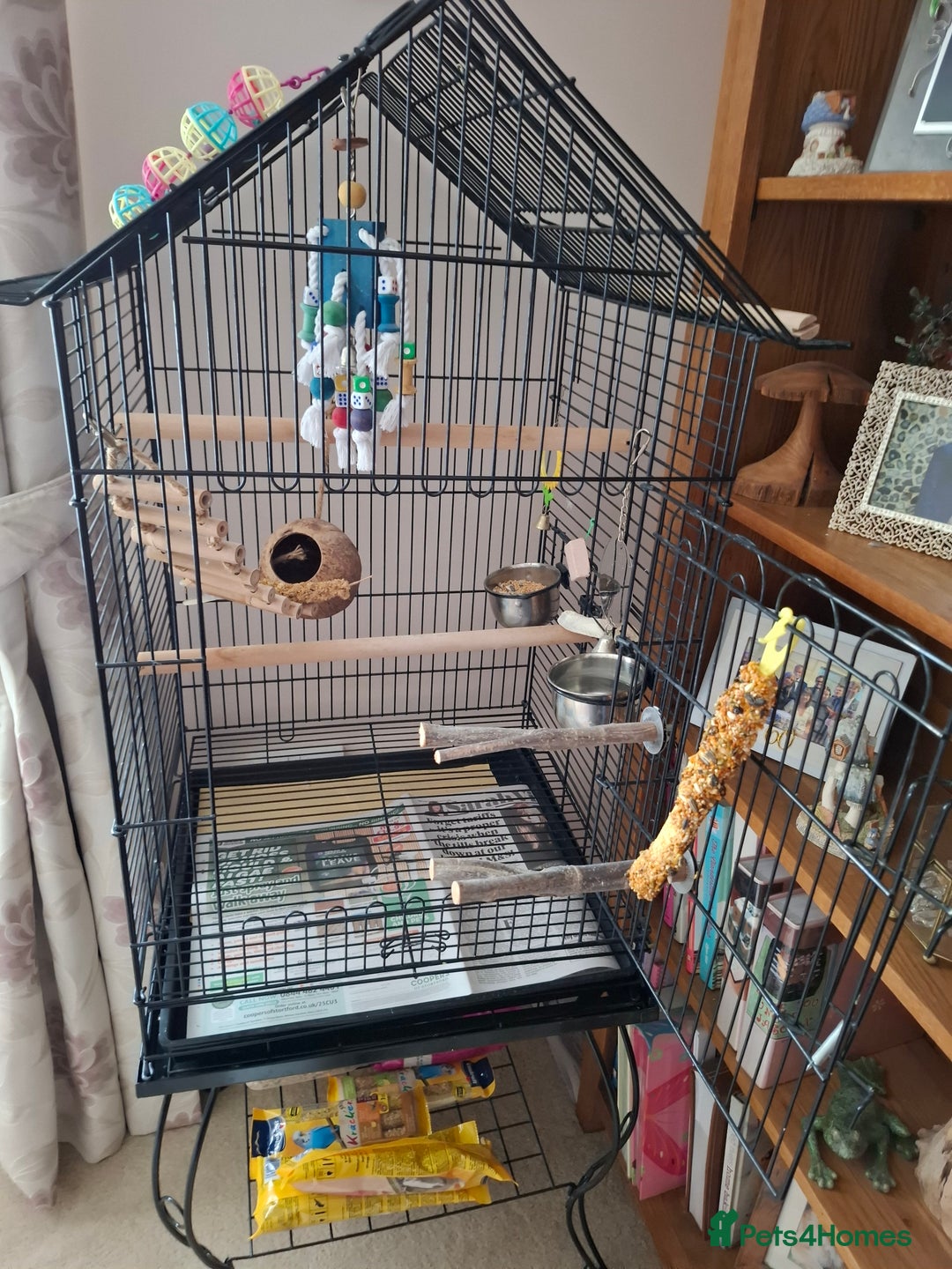 Cockatiels birds for sale: Cockatiel and cage - Image 2
