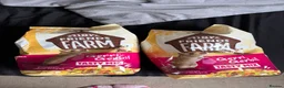 Gerbil rodents for sale: 2 gerbils for sale  - Advert 4