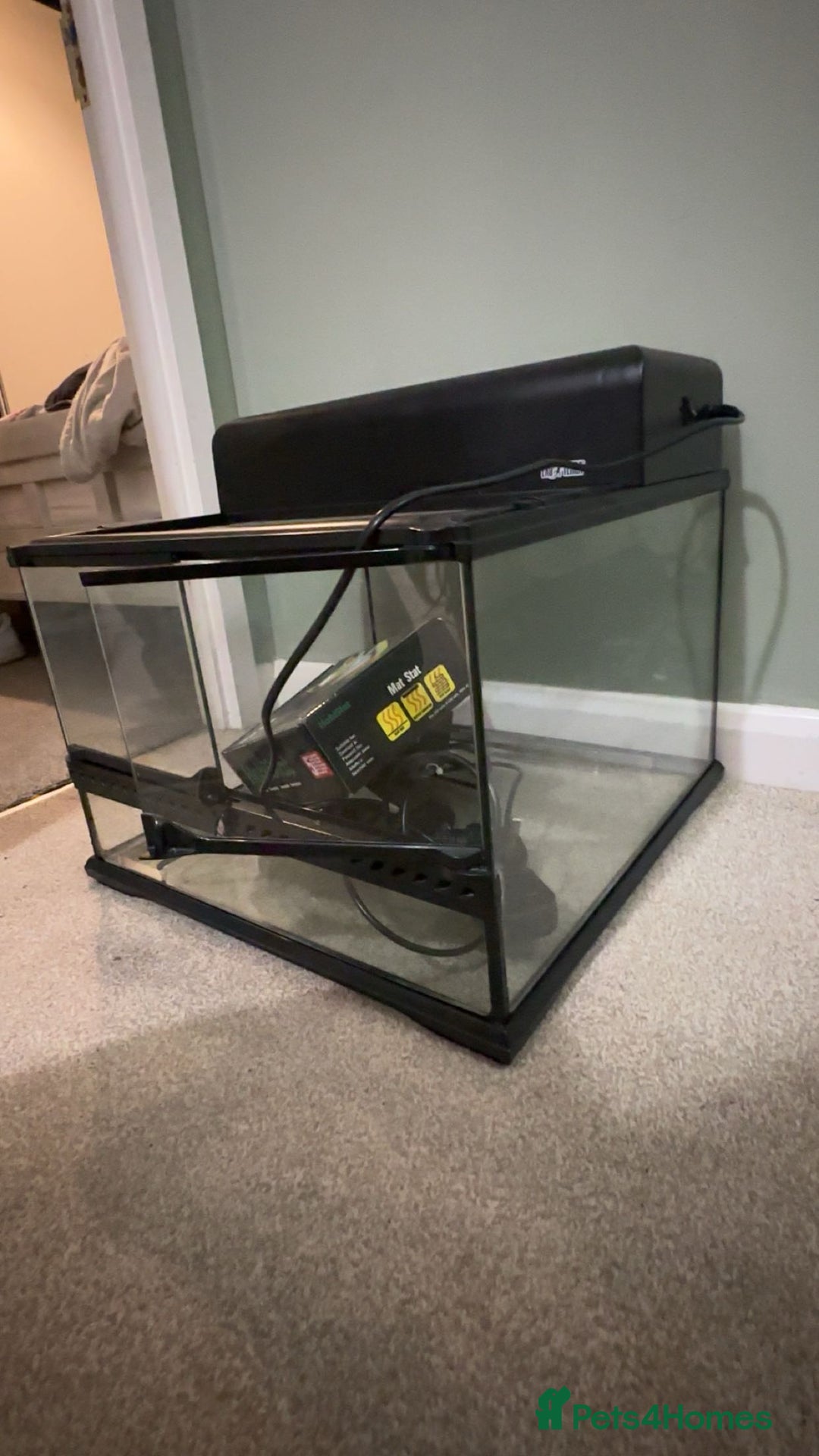 Leopard Gecko reptiles for sale: Gecko/Lizard cage  - Image 1