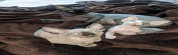 Sphynx cats for sale: Super beautiful Sphynx kittens  - Advert 2