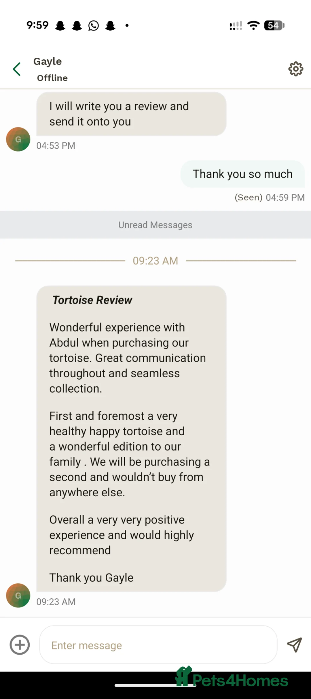 Tortoise reptiles for sale: Spur Thigh Tortoise trusted by many happy customer in London - Advert 2