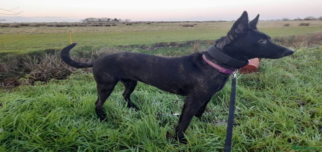 Gallery Image {{count}}