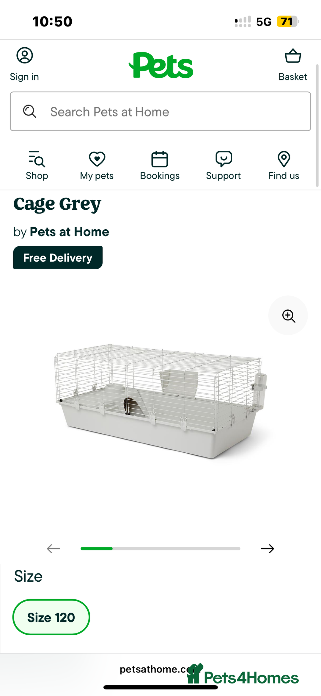 Guinea Pig rodents for sale: 2 male guinea pigs  - Advert 4