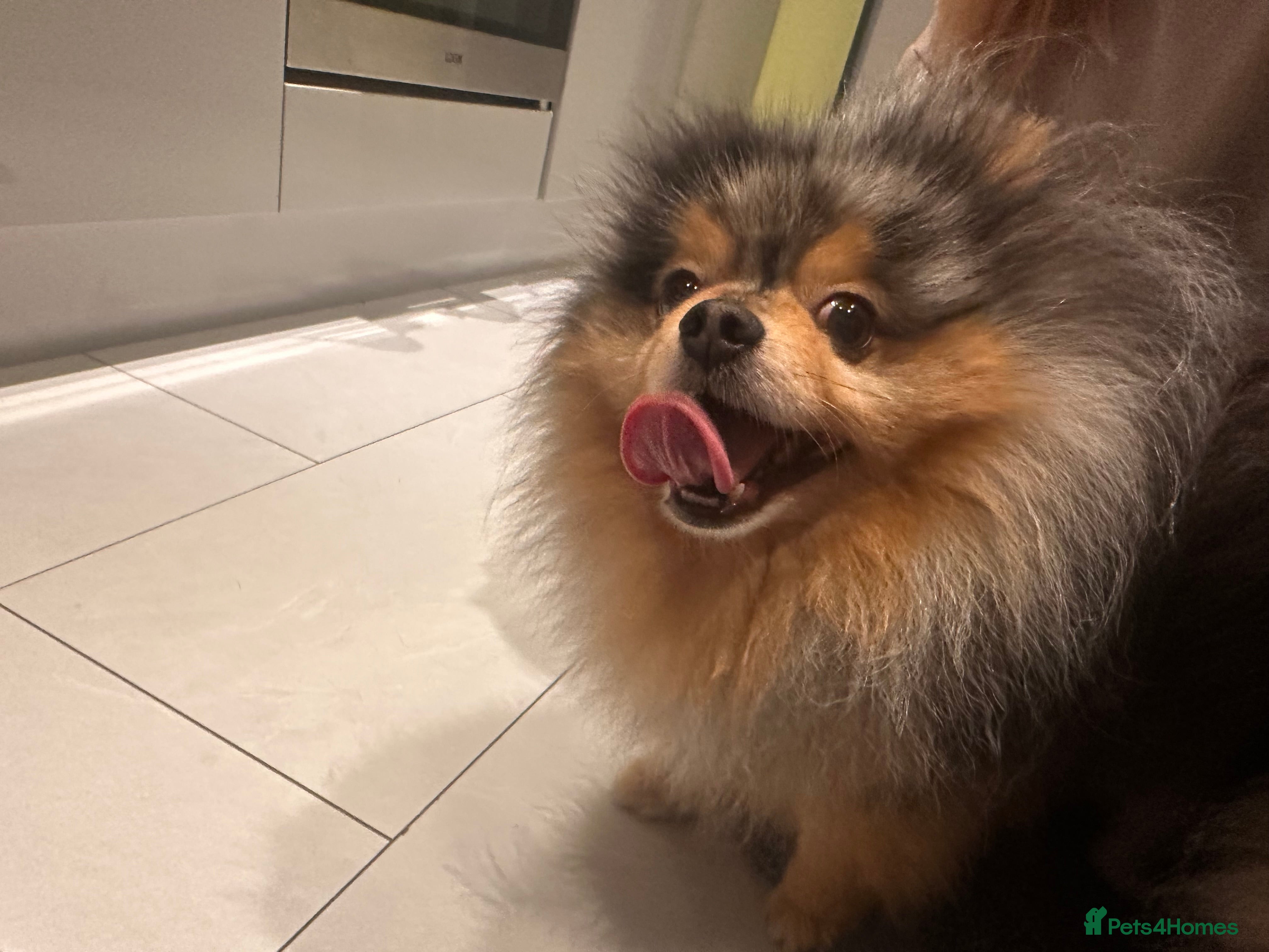 Max