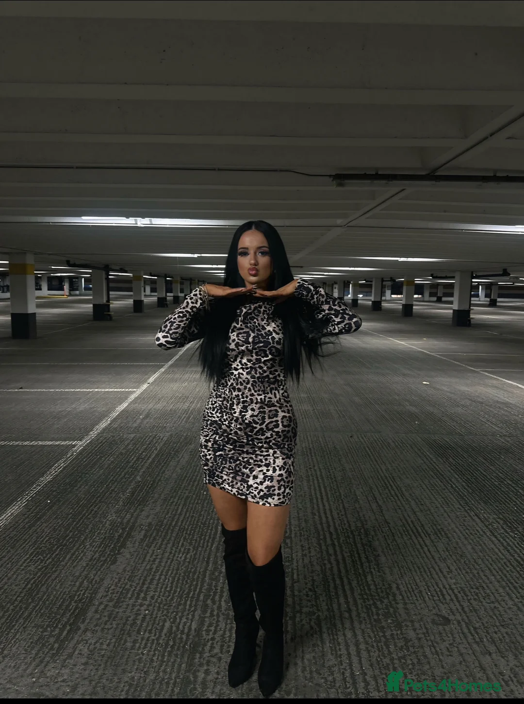 Gallery Image {{count}}