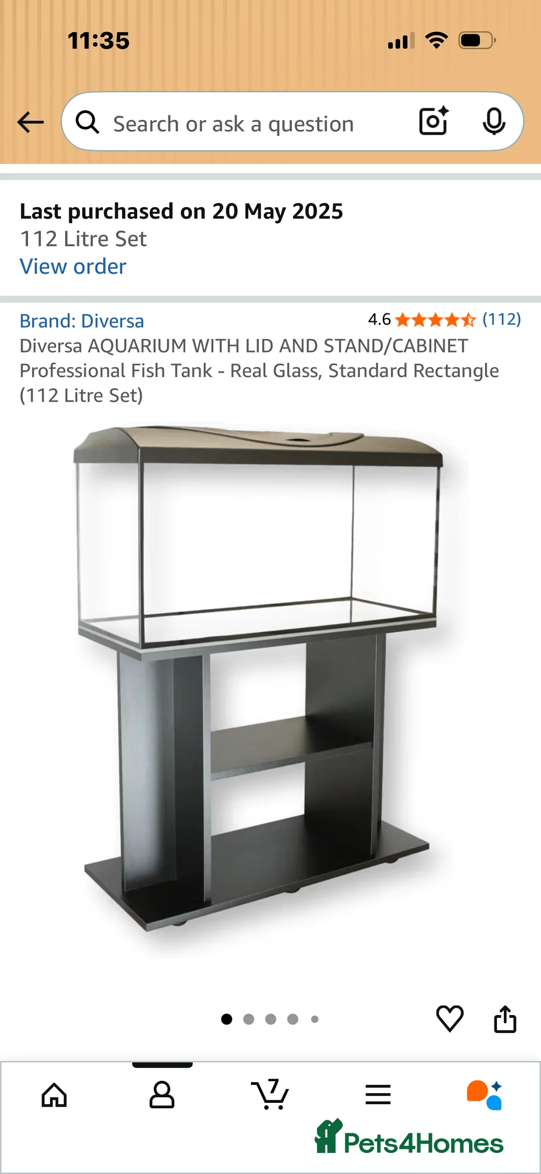 Axolotl reptiles for sale: 2 x female 2 yr leucistic Axolotls in Bury Saint Edmunds - Advert 7