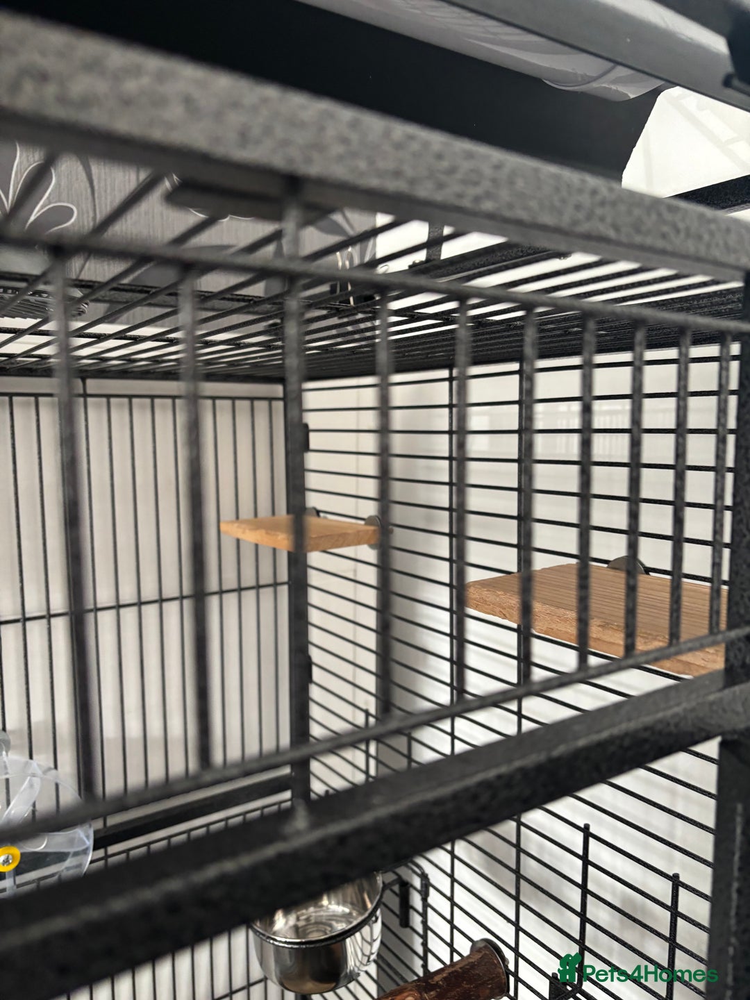 Parrots birds for sale: Large Parrot Cage - Image 16