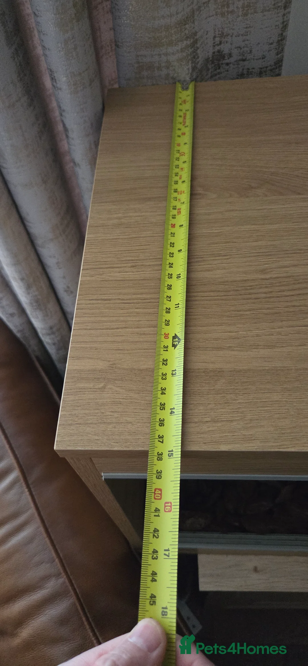 Python Snake reptiles for sale: Banana royal python  - Advert 23