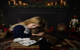 Labrador Retriever dogs for sale: Chocolate Labrador puppies  - Advert 8