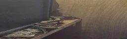 Python Snake reptiles for sale: 7 year old python + enclosure - Advert 1