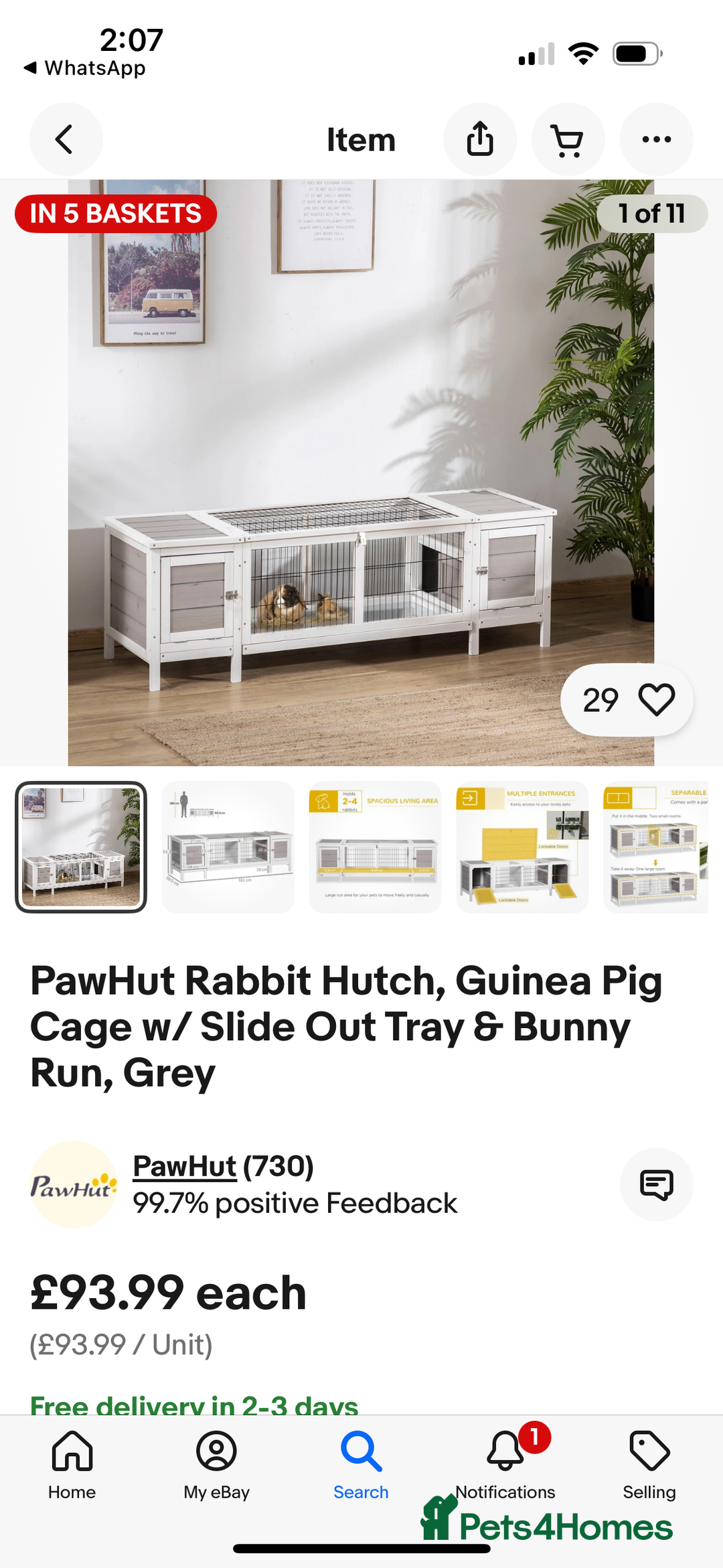 Guinea Pig rodents for sale: Our handsome boy marshmallow with cage, hay, food - Advert 7