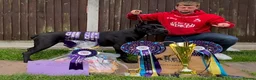 Cane Corso dogs for sale: Cane corso puppies in Rochford - Advert 19
