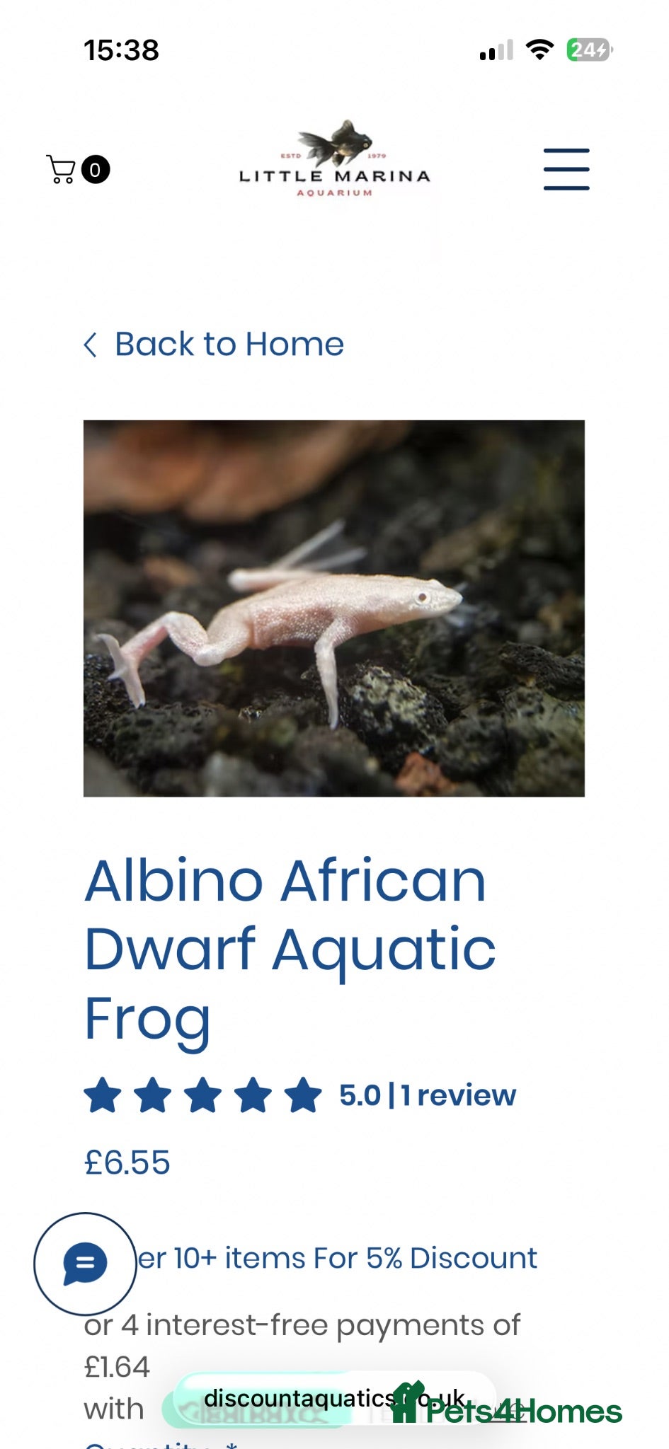 Other/Mixed Breed fish Albino aquatic Dwarf frog  - Advert 1