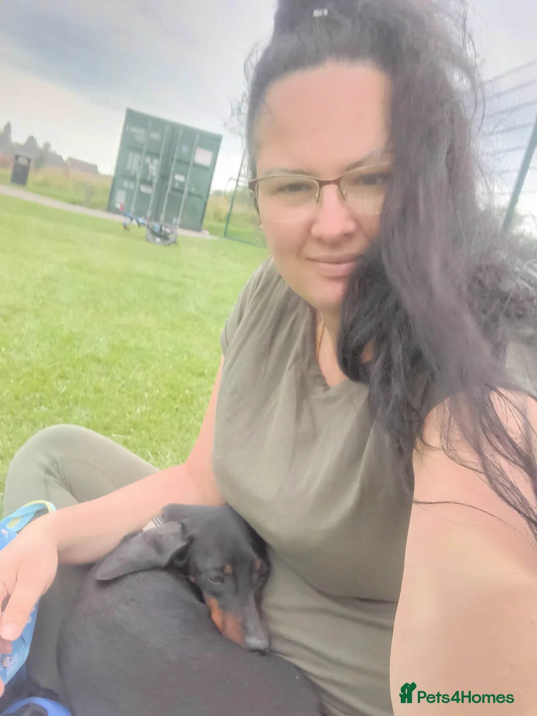 Miniature Dachshund dogs for sale: Miniature dachshund  - Advert 1