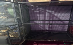 Rat rodents for sale: Pet planet cage only no animals  - Image 3