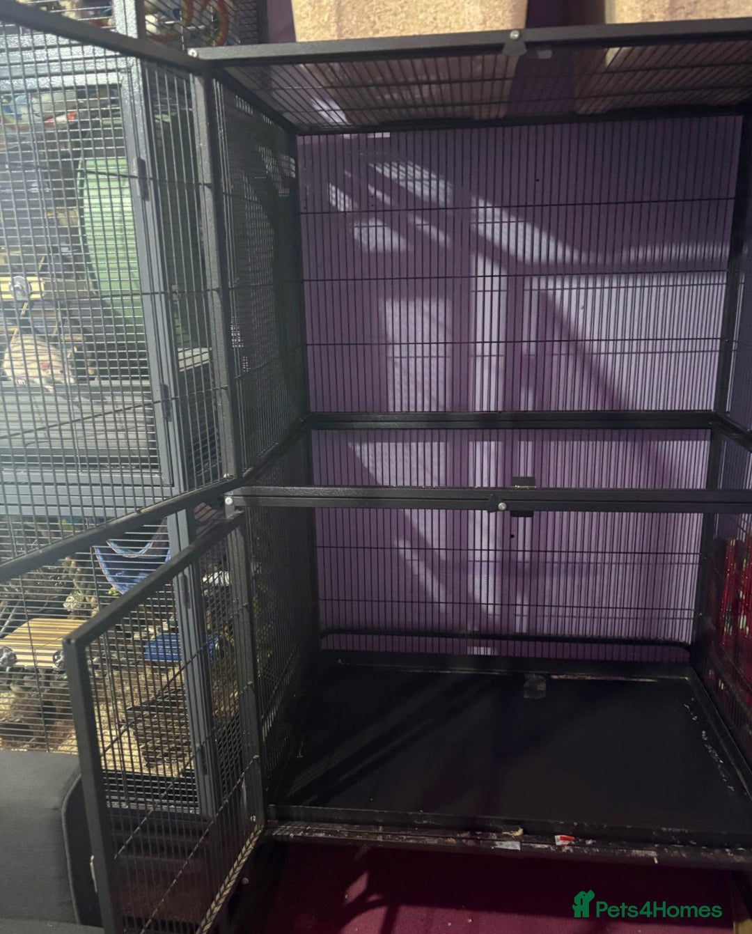 Rat rodents for sale: Pet planet cage only no animals  - Image 3