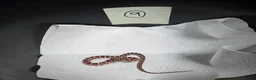 Corn Snake reptiles for sale: Various baby corn snakes unsexed x13 Bolton - Advert 9