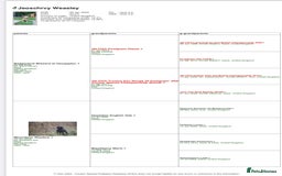 Cocker Spaniel dogs for stud: Proven Health tested Cocker spaniel for stud  in Loughborough - Image 8