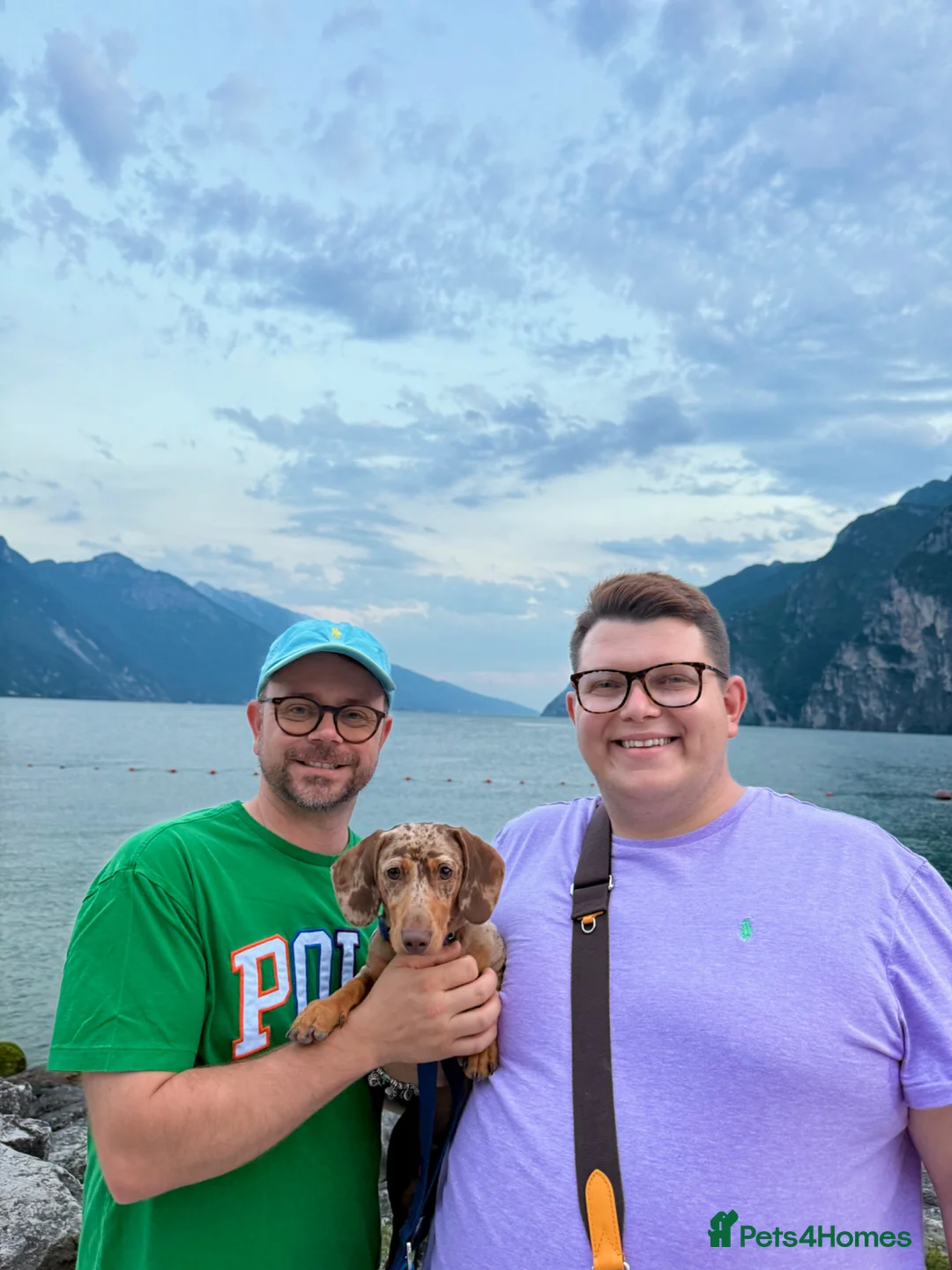 Gallery Image {{count}}