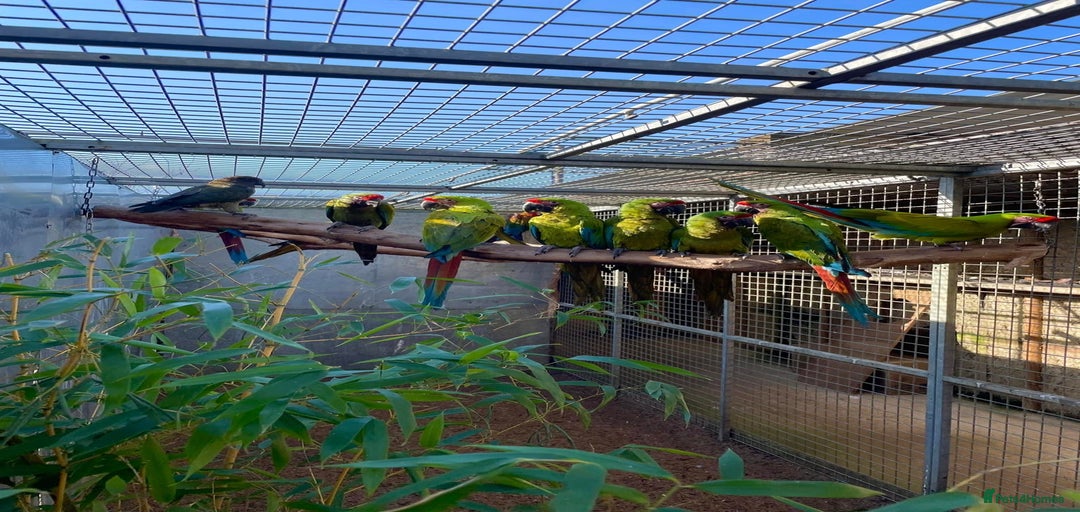 Gallery Image {{count}}