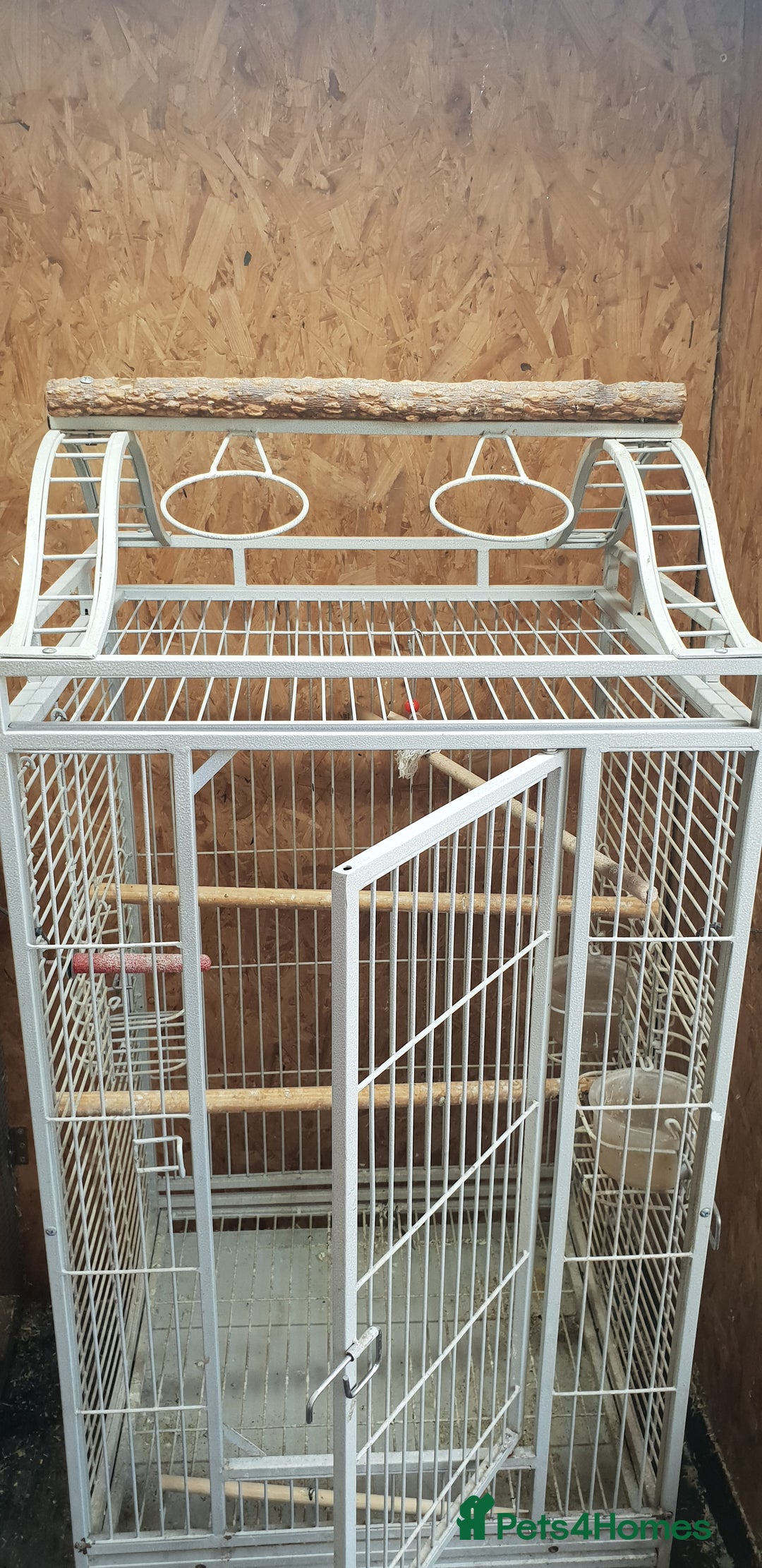 Cockatiels birds for sale: Bird cage for sale - Image 1