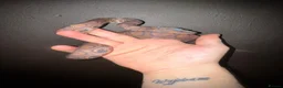 Boa Snake reptiles for sale: Fiona the Brazilian Rainbow Boa - Gentle Beauty in Southampton - Advert 3