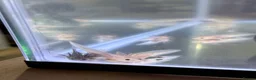 Axolotl reptiles for sale: Axolotl juveniles  - Advert 2