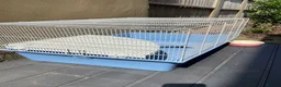 Rat rodents for sale: 4 Female Rats & Cage Full Setup in Nuneaton - Advert 6