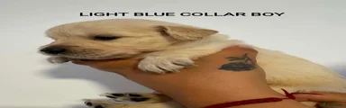 LIGHT BLUE COLLAR BOY