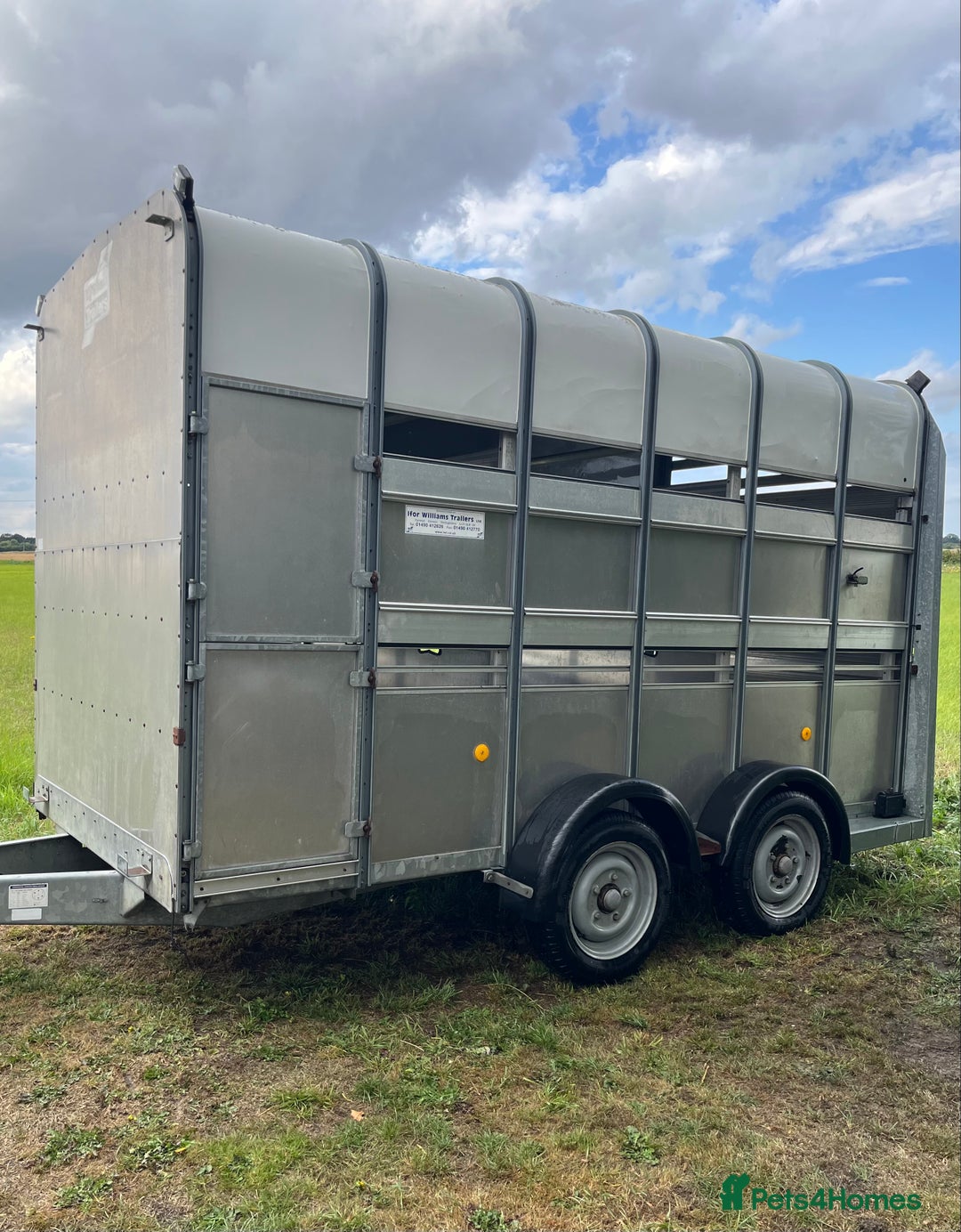 Cows & Bulls livestock for sale: Ifor Williams Livestock Trailer  - Image 3