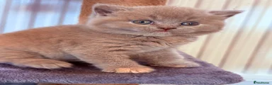 Margaret