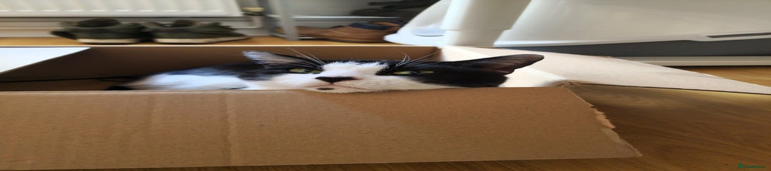 Sid 