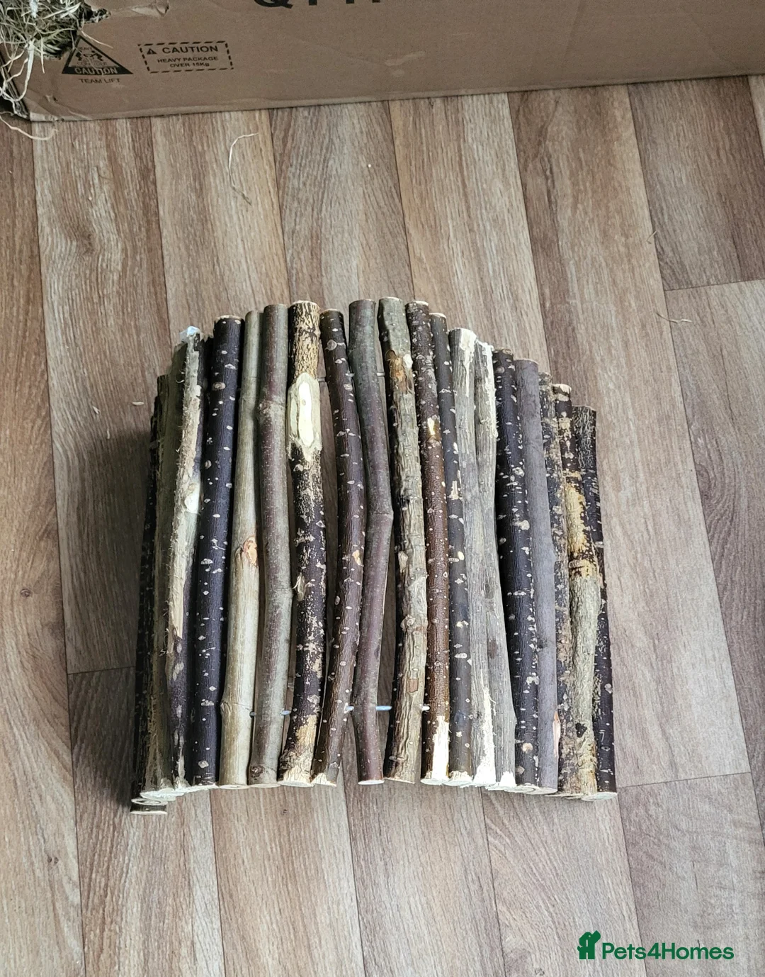 Rat rodents for sale: 4 Female Fancy Rats and Complete Setup  - Advert 6