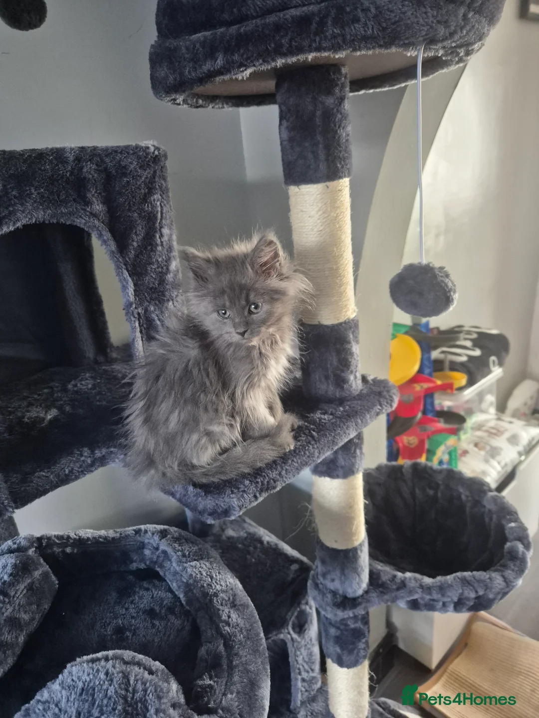 Gallery Image {{count}}