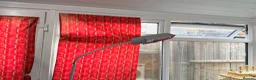 Parrots birds for sale: Krypto the amazing talking african grey in Solihull - Advert 8