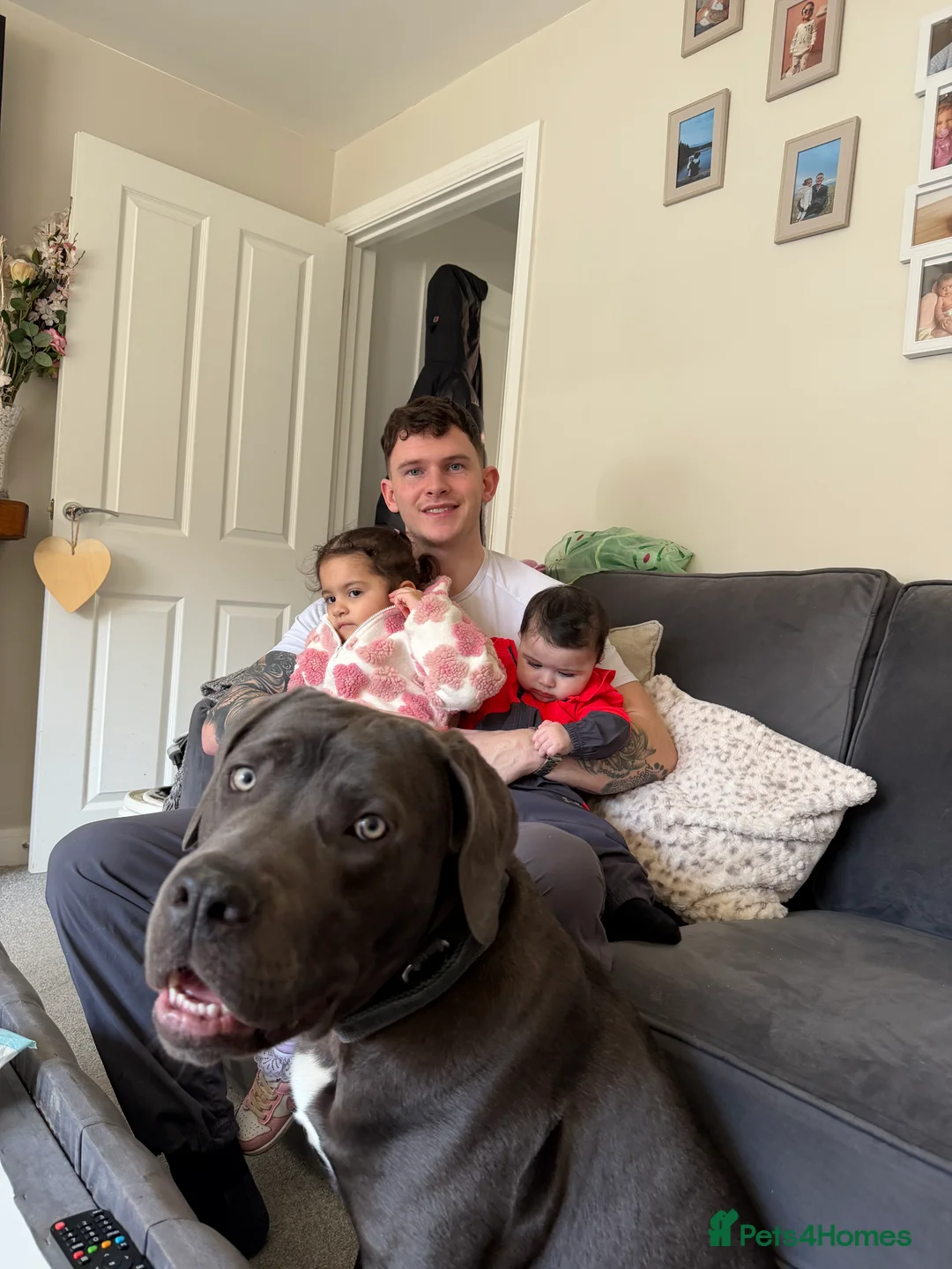 Gallery Image {{count}}