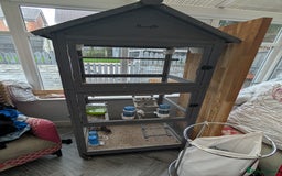 Finches birds for sale: 2 pairs of zebra finches and 3 cpq with large cage - Image 1