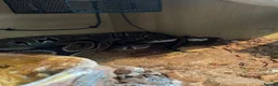 Python Snake reptiles for sale: Glen  Durbin  in Bromsgrove - Advert 2