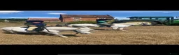 Welsh Section A horses for sale: Pony Club Pony - Advert 18