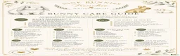Mini Lop rabbits for sale: 🐰💕💙Ready To Leave Now - two babies  left 🐰 - Advert 26