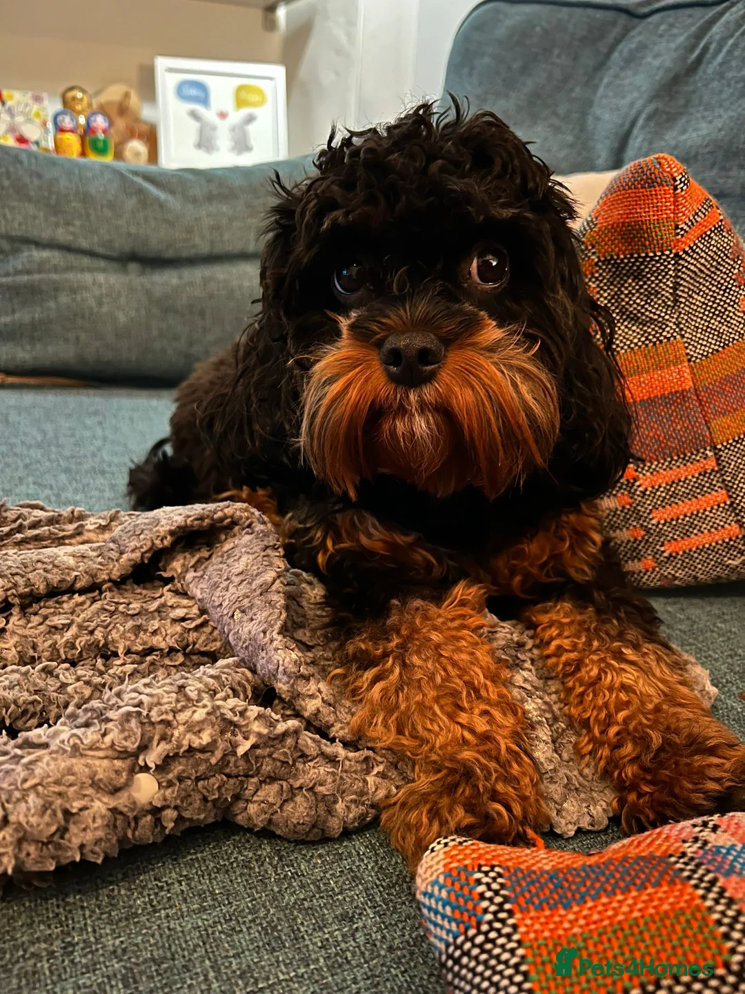 Gallery Image {{count}}