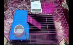 Lovebirds birds for sale: Hamster/guinea pig cage never used  - Image 1