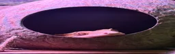 Gecko reptiles for sale: 2 year old Male Crested Gecko with Full Set Up in St. Neots - Advert 8