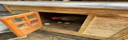 Chickens poultry for sale: Hens and rooster for sale with tha coop - Advert 2