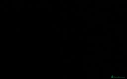 French Bulldog dogs for sale: 🤍READY TO LEAVE 🤍 French bulldog puppies 🤍 - Image 4