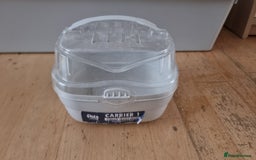 Hamster rodents for sale: Friendly syrian hamster to sell ASAP - Image 4