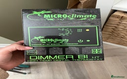 Leopard Gecko reptiles for sale: Female leopard gecko  - Image 9