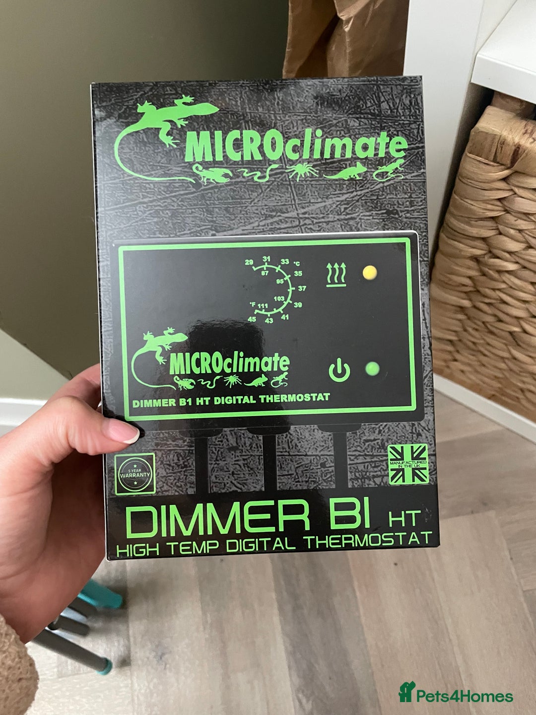 Leopard Gecko reptiles for sale: Female leopard gecko  - Image 9