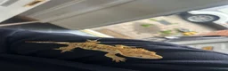 Gecko reptiles for sale: Crested Gecko in Sheerness - Advert 6